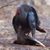 Terry Brown's profile image