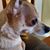 Lindy Gupton Marshall's profile image