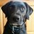 Kawika Keith's profile image