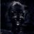 Andreas de Heisende's profile image