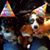 Cindy Baack's profile image