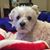 Rocio Thomas's profile image