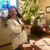 Gina Ferro Rivero's profile image