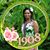 Jennifer Eubanks Harris's profile image