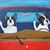 David Pearson's profile image