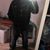 Matthew Sepulveda's profile image