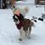 Jenn Deca Kunisch's profile image