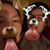 Tang Tsosie's profile image
