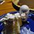 Jeff Boutwell's profile image