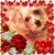 Darlene Levin's profile image