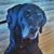 Ruth Moden's profile image