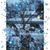 Colleen Quellos Hendershot's profile image