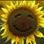 Liesa Collier's profile image