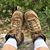 Diane E. Willcox's profile image