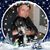 Roel de Bruijn's profile image