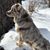 Ann Leve's profile image