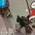 Lynn Twilley's profile image