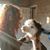 Melinda Boteler Herndon's profile image