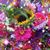 Cindy Sanders Willhelm's profile image