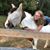 Mallory McGrady's profile image