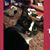 Sue Cocke Myers's profile image