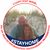 Vivian Wasson's profile image