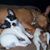 Cathy Falcone's profile image