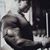 Sean Dancer's profile image