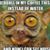 Justin Wolcott's profile image