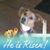 Edith Ogle's profile image