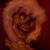 Dave Locane Jr's profile image