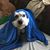 Laura Cundy Anderson's profile image