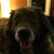 Melvin Biggins's profile image