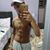 Felipe Sousa's profile image