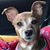 Sherry Shull's profile image