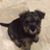 Rhonda Perrow's profile image