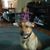 Michele Zito's profile image