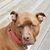 Bev Lindsay's profile image