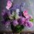 Pauline Shoop's profile image