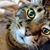 Sandy Oiler's profile image