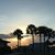 Cheryl Williams Bonomo's profile image