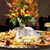 Innova Eventos's profile image