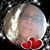 N Yvonne Forrest's profile image