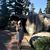 Linda Andreason's profile image