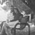 Luis Roque's profile image