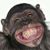Lori Allshouse's profile image
