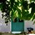 Lorenza Sangiolo's profile image