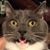 Stacy Hode Matticoli's profile image