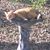 Susan Winder's profile image