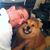 Frank Tedeschi's profile image